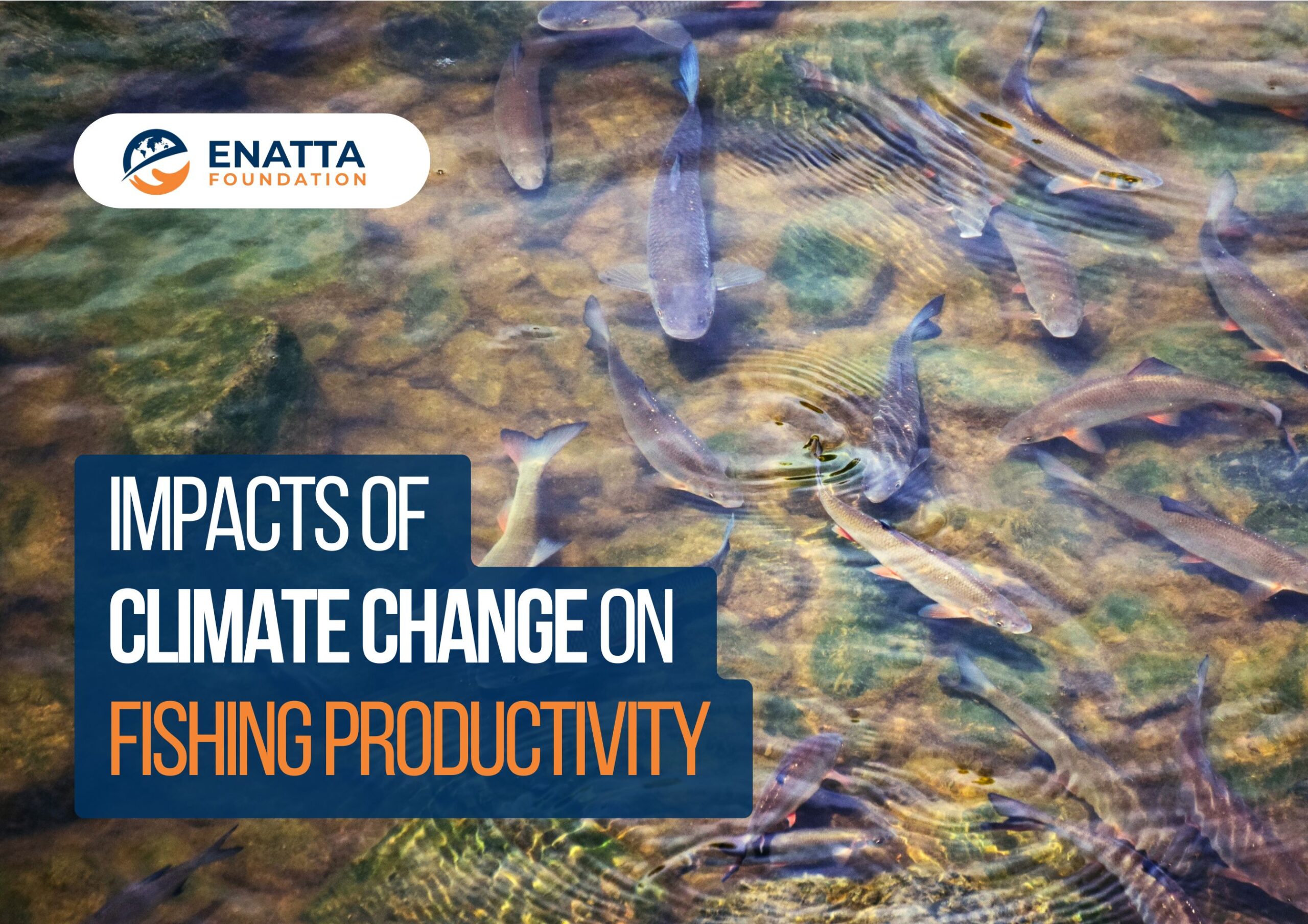 Impacts of Climate Change on Fishing Productivity